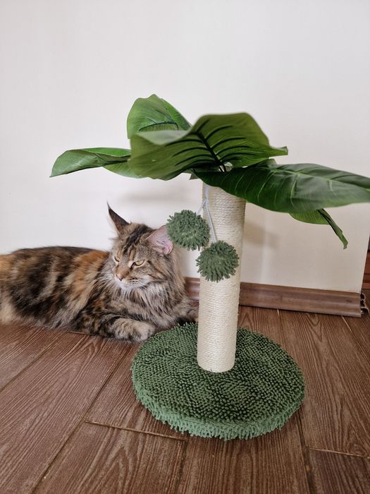 Драскалка за котки палма MP11