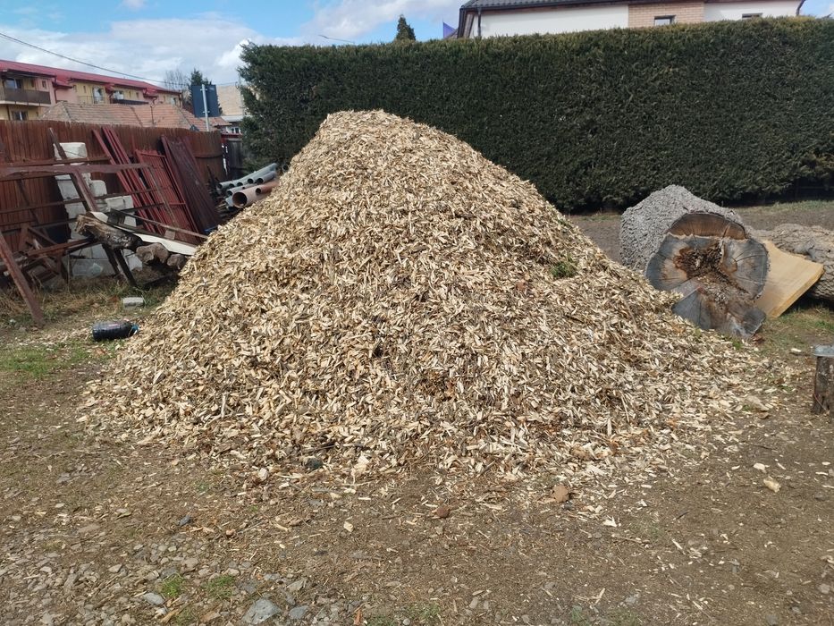 tocatura de crengi, mulci