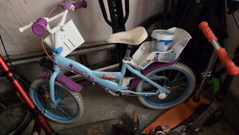 Bicicleta frozen
