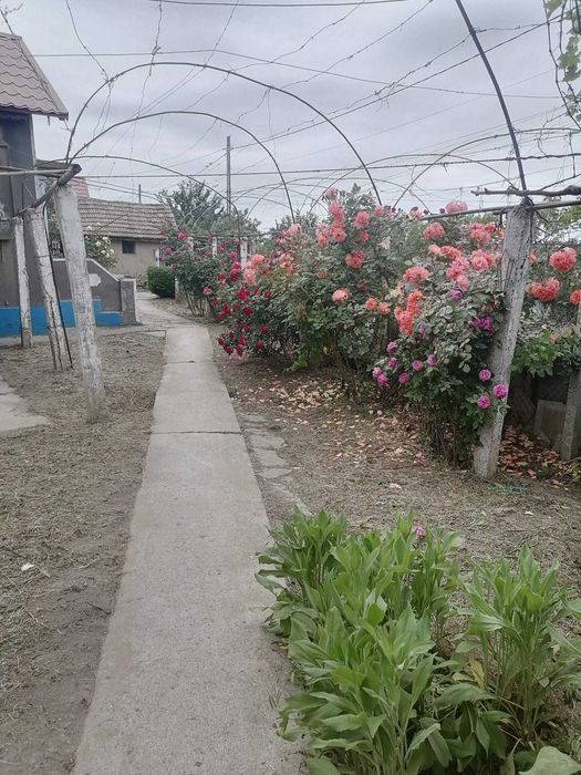 Casă în satul Zebil cu vedere superbă spre lacul Babadag