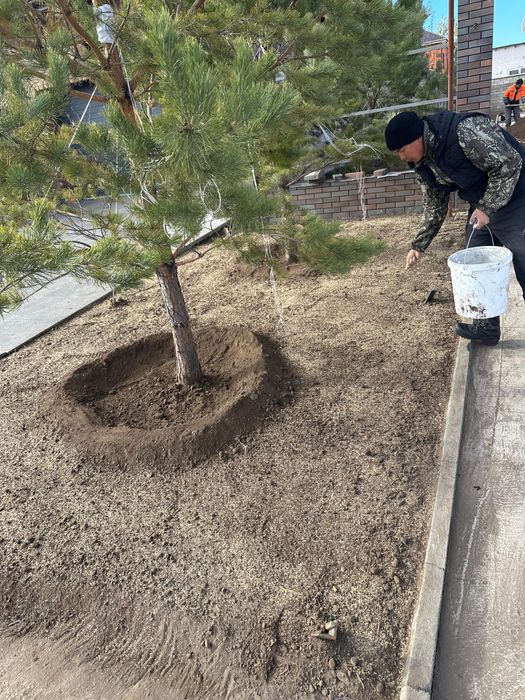 Садовник тал егу гул егу