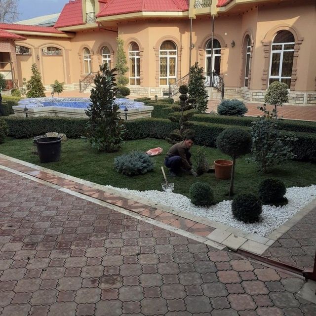 Gazon ekish tayor gazon bosish archa kesish va archa dorilash
