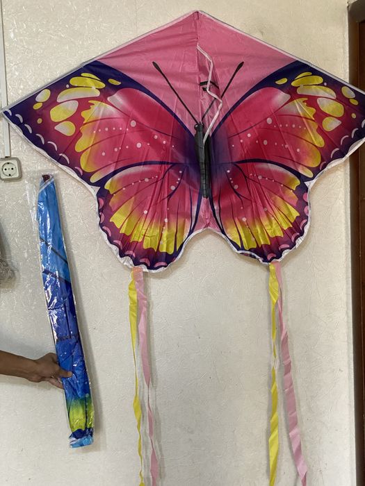 Воздушные змеи