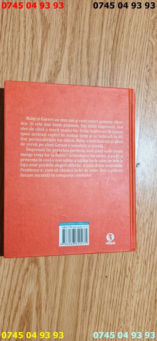 carte carti In tandem jacqueline Wilson