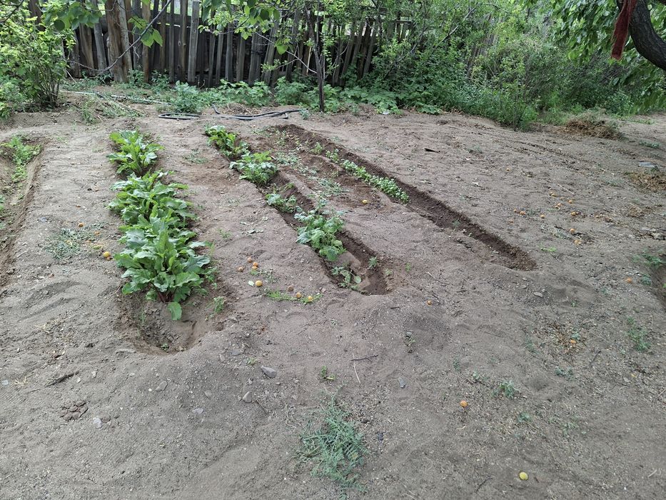 Продаётся отличная дача