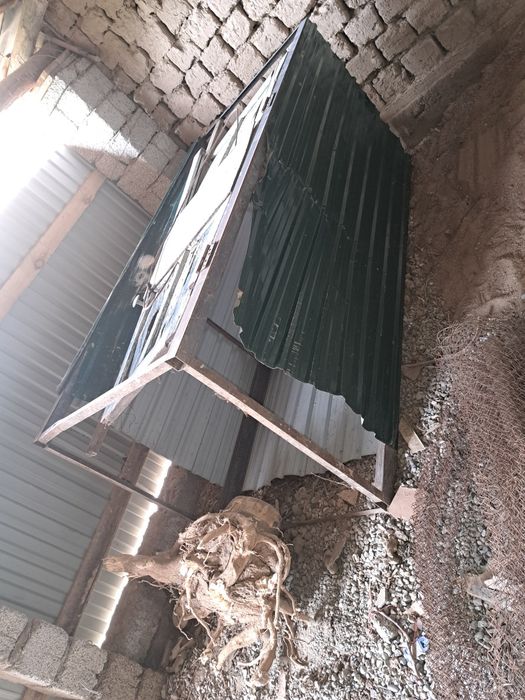 Дайын душ далаға