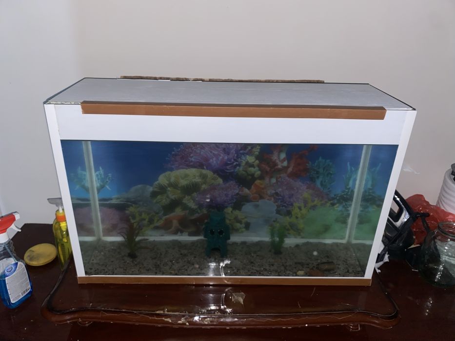 Аквариум с рыбками срочноо