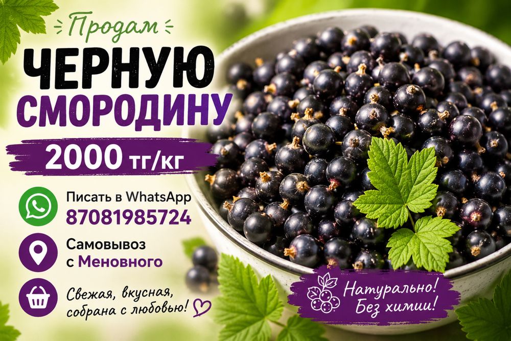 черная смородина, смородина