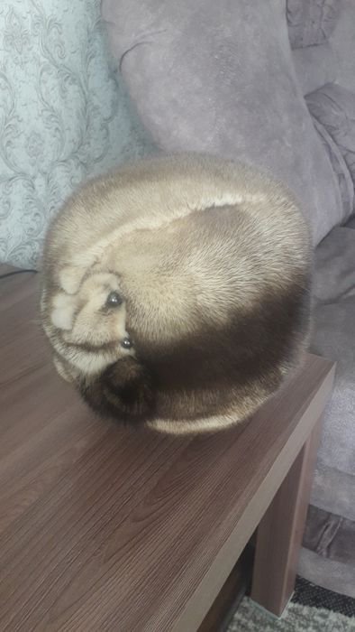 Продам норковую шапку