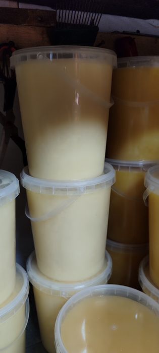 Продам натуральный мед 2026 года