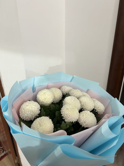 Трендовые белоснежные момоко