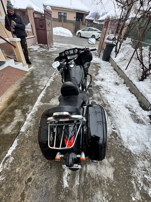 Kawsski vaquero superb