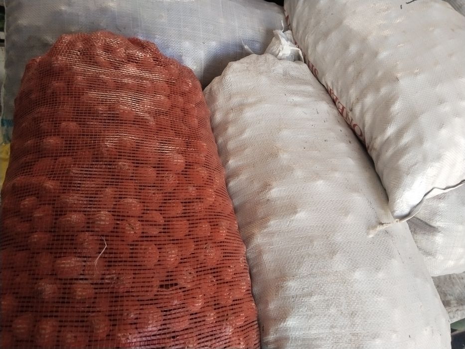 Жангак орех грецкий