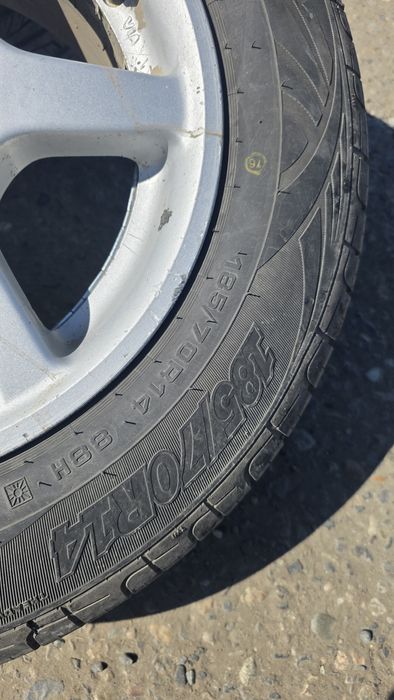 Донгелек титанымен