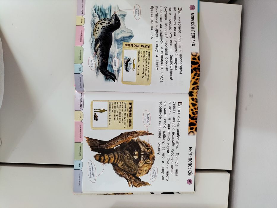 Энциклопедия для детей