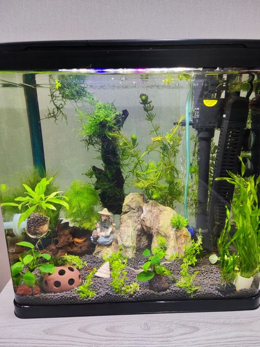 Продам аквариум 30 литров