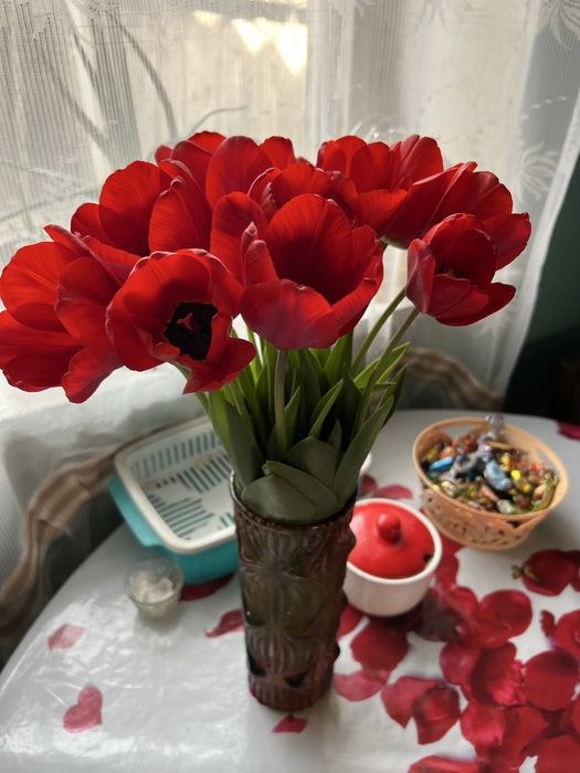 Цветы.Тюльпаны садовые.Айгуль