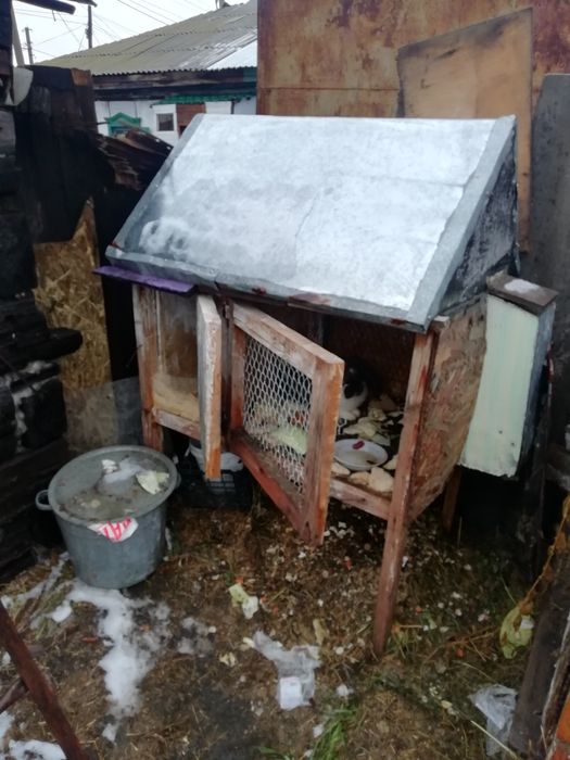 Продам клетки либо обмен