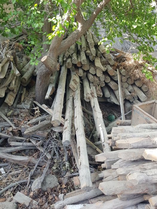 Болор ва забарав йугилар сотилади