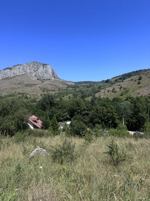 Vand teren 6000 mp Valisoara