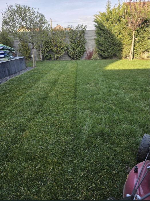 Grădini | Gazon Rulou | Irigații | Intretineri | Pavaj montaj De la A la Z