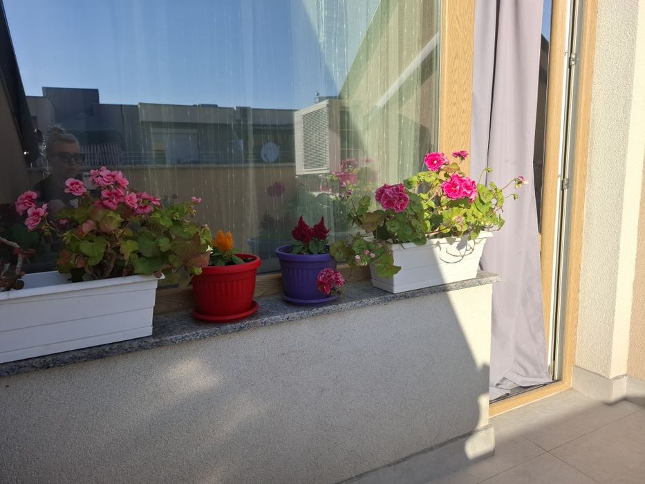 Дава се под наем Тристаен апартамент в Благоевград, Идеален център - 74 кв.м за 382.5 € - Снимка #8