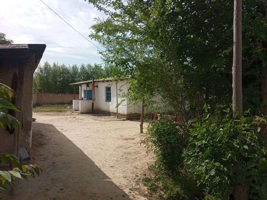 Boka tumani МФИ дехқончилик чорвочиликка қулаи  жои