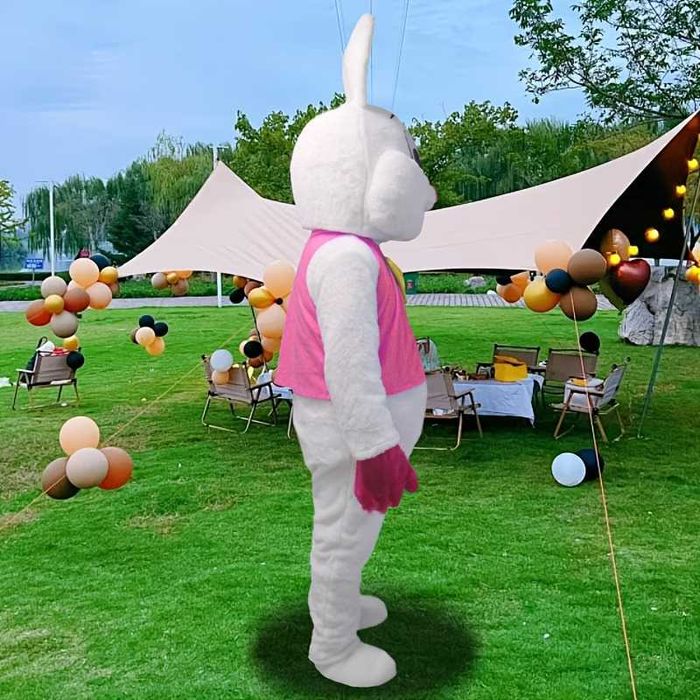 Мики Маус Заек Парти плюшен костюм за рожден ден 3 вида