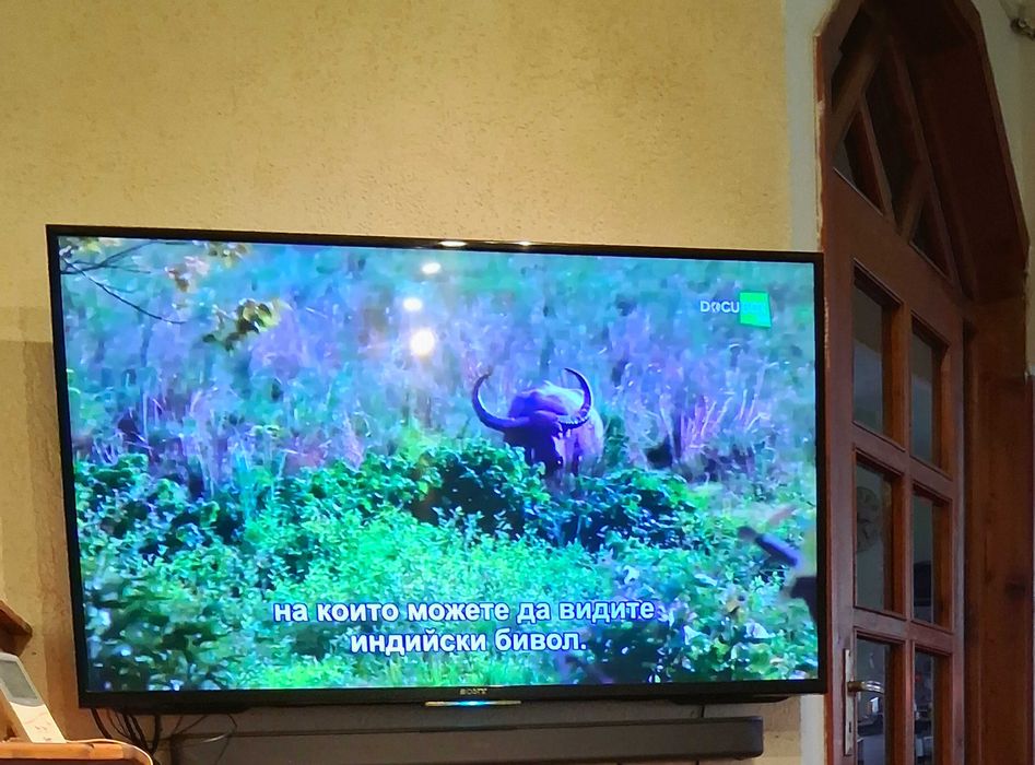 Телевизор Sony 49x8005c