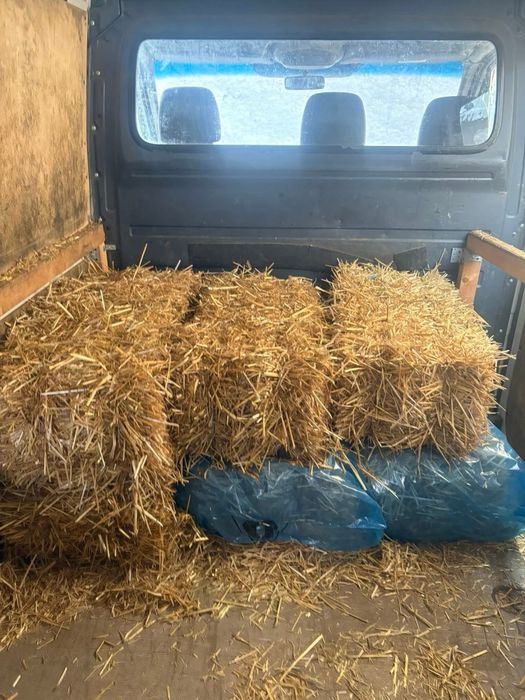 Baloti de paie de vanzare