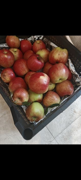 Продам дачу, 2.дачная