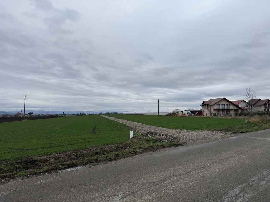 Vând / De Vânzare Loturi Case / Parcele Teren Intravilan / De La 739 MP Până La 1066.5 MP, Fântâna Mare / PUZ Făcut