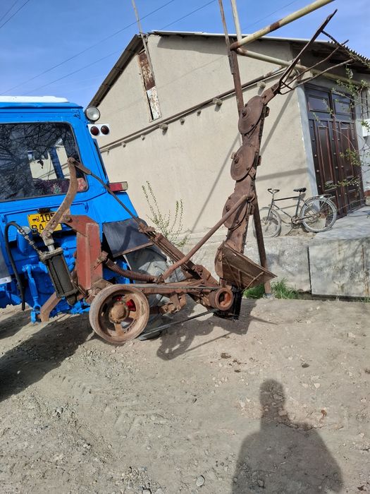 kasilka beda yantoq yulg‘un o‘radi