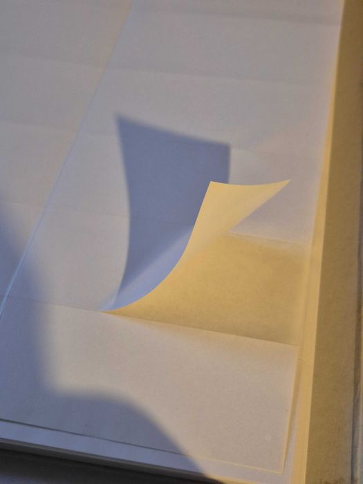 1400 Etichete Autocolante A4, Avery Zweckform, Germania, 100 coli