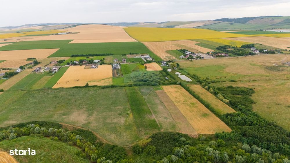 Teren de 10.000 m.p. cu deschidere la DN in Silistea/Todiresti - VS