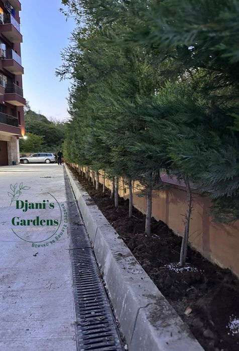 Косене на високи и ниски треви, поддръжка на градини, изграждане