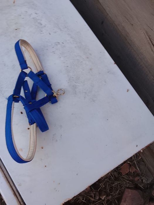 Продам недоуздок! Новый