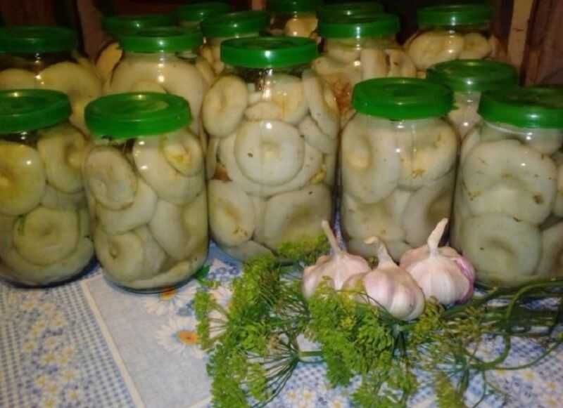 Грибы грузди Уральские