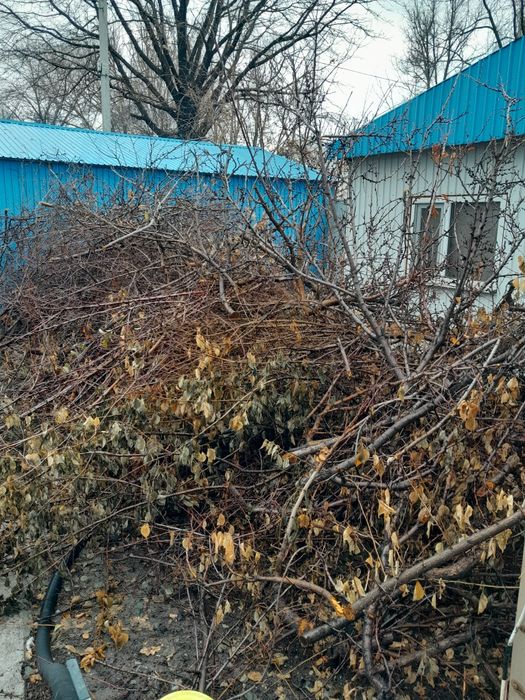 Отдам на дрова даром