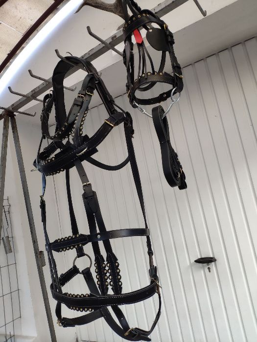 set-global PONEI/MAGAR | ham + capici + zabala + haturi ⟣GARANTIE ⁴⁸