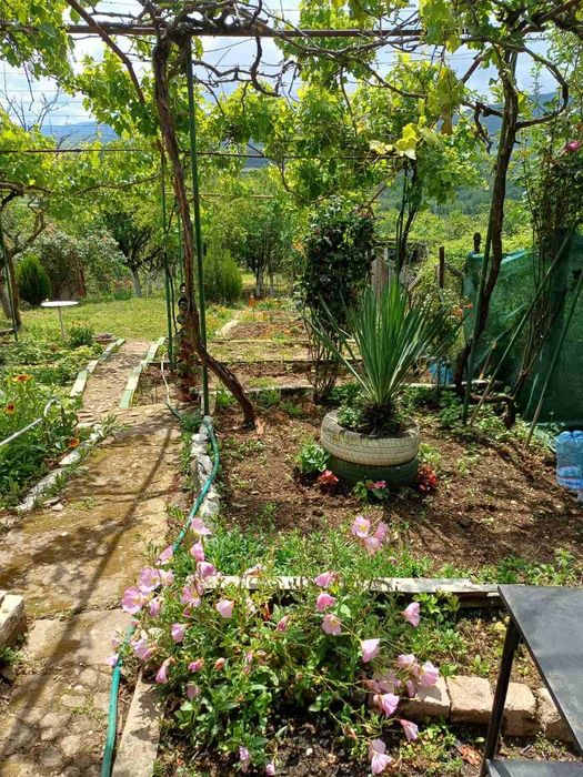 Продава се Къща в Търговище, Вилна зона - 30 кв.м за 510 €/кв.м - Снимка #6