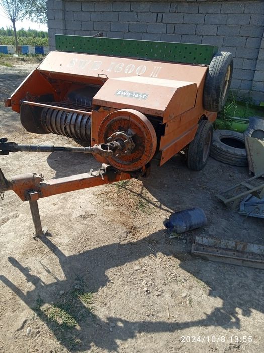 Piris afarati sotladi