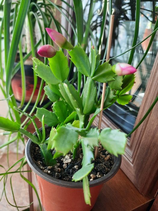 Продам Шлюмбергера