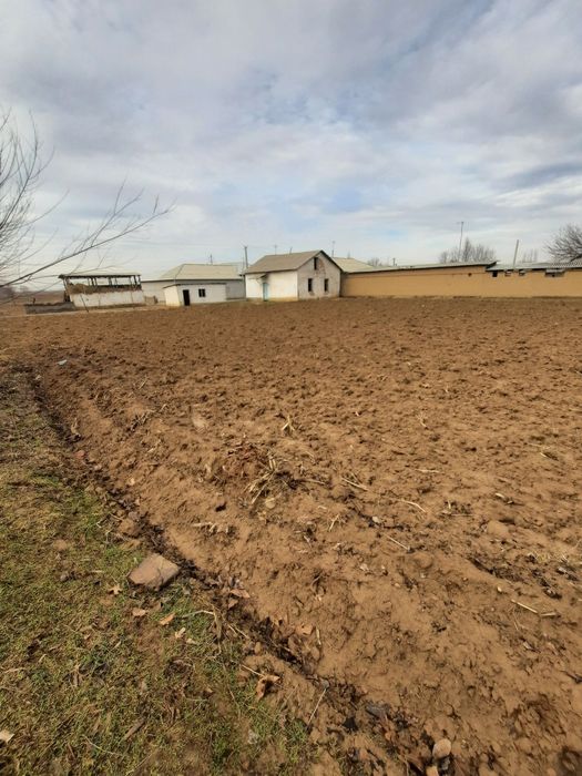 Xovli uy sotiladi Yangi turmush istiqlol mfy da