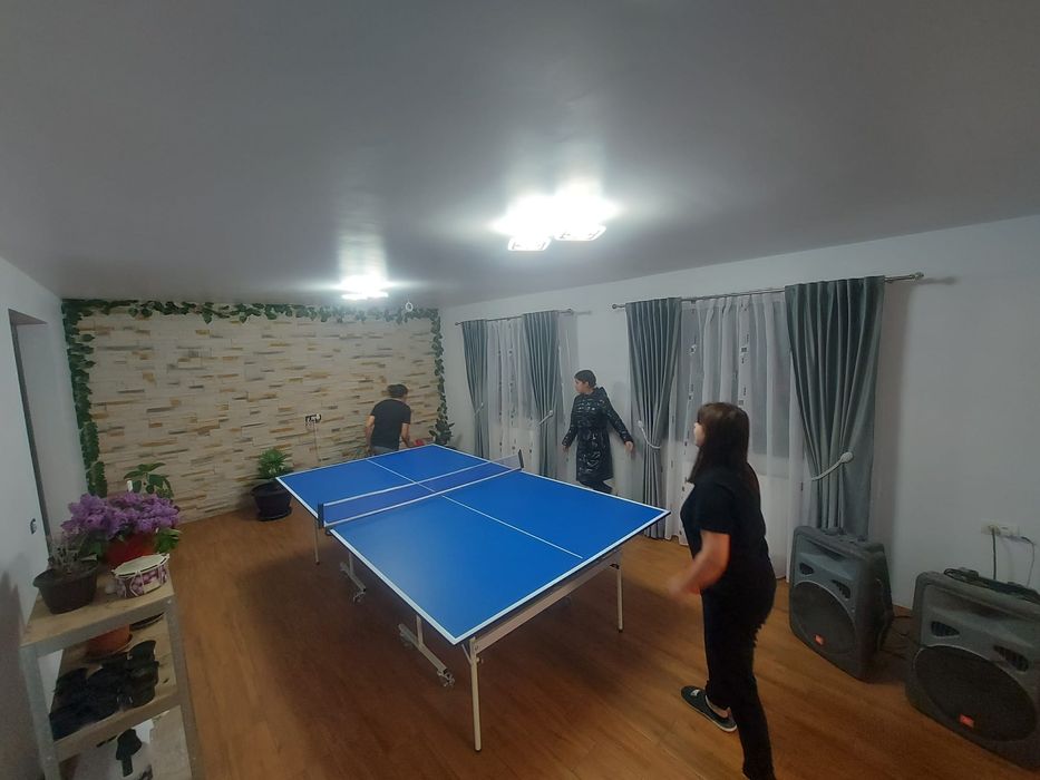 Masa de ping pong