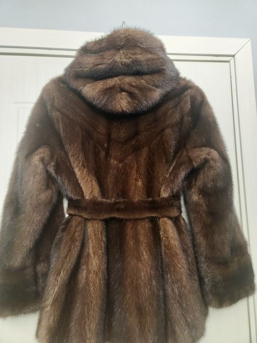 Haina  scurta de vizon