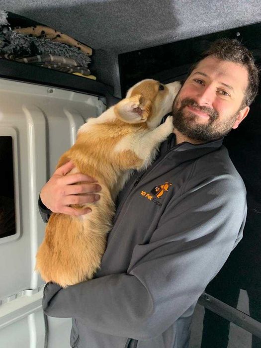 Taxi câini București – transport la veterinar sau grooming