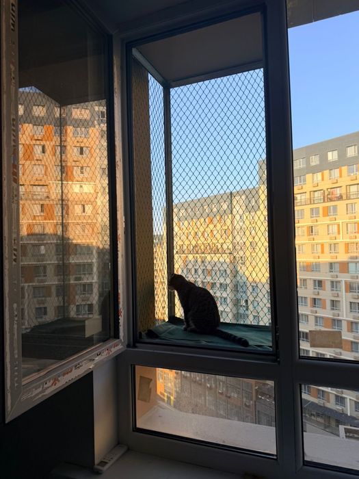 Балкон для кошки на окно