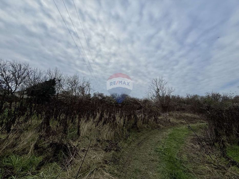 Продава се Парцел в с. Кранево, Област Добрич - 486 кв.м за 60 €/кв.м - Снимка #4