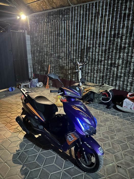 На продаже лия сурпа